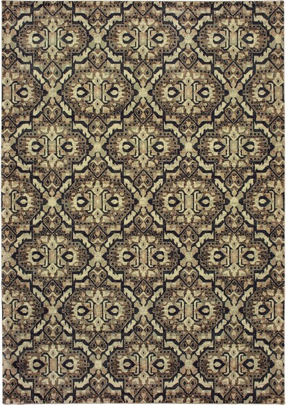 Oriental Weavers Raleigh 4927K Brown and  Navy