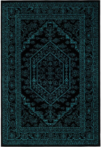 Safavieh Adirondack ADR108K Black and Teal